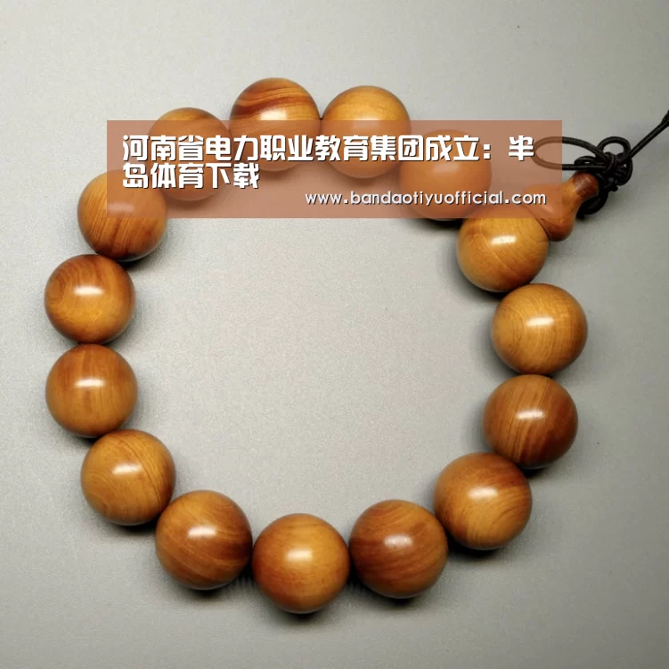 河南省电力职业教育集团成立:半岛体育下载(图3) 半岛体育官方登录