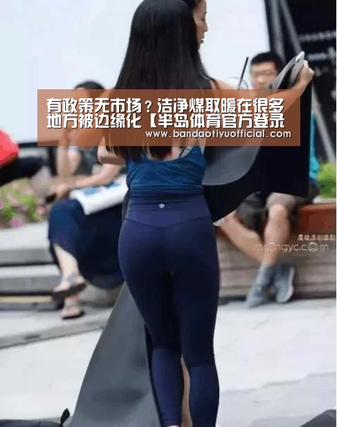 有政策无市场?洁净煤取暖在很多地方被边缘化【半岛体育官方登录官网】(图4) 半岛体育下载