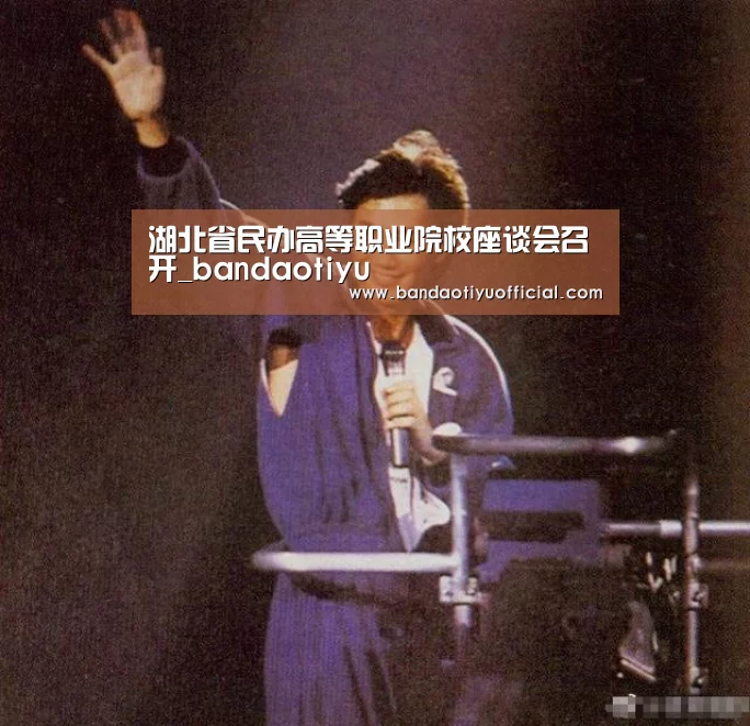 湖北省民办高等职业院校座谈会召开_bandaotiyu(图1) 半岛体育官方登录官网