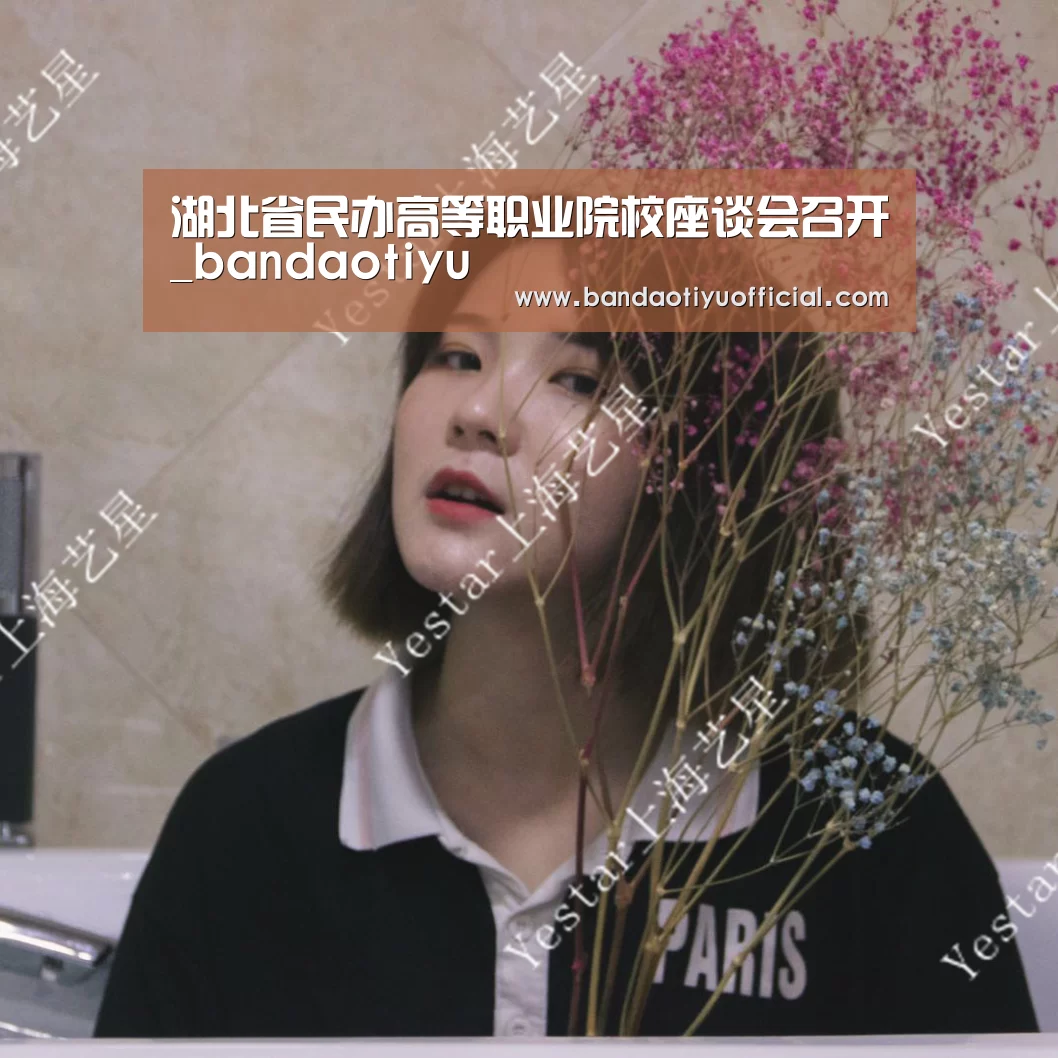 湖北省民办高等职业院校座谈会召开_bandaotiyu(图2) 半岛体育下载