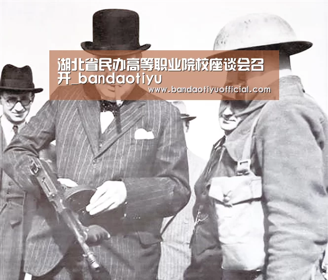 湖北省民办高等职业院校座谈会召开_bandaotiyu(图3) 湖北省民办高等职业院校座谈会召开_bandaotiyu(图3)