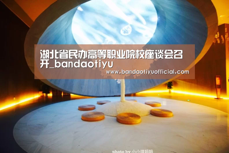 湖北省民办高等职业院校座谈会召开_bandaotiyu(图4) 半岛体育官方登录