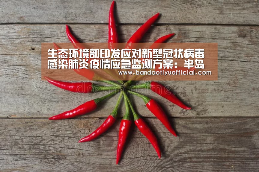 生态环境部印发应对新型冠状病毒感染肺炎疫情应急监测方案:半岛体育官方登录(图3) 生态环境部印发应对新型冠状病毒感染肺炎疫情应急监测方案:半岛体育官方登录(图3)
