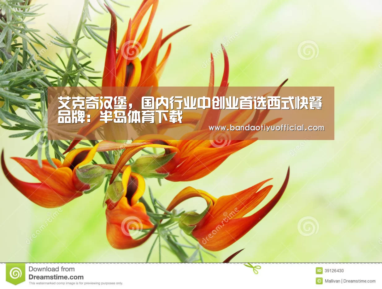 艾克奇汉堡,国内行业中创业首选西式快餐品牌:半岛体育下载(图3) 艾克奇汉堡,国内行业中创业首选西式快餐品牌:半岛体育下载(图3)