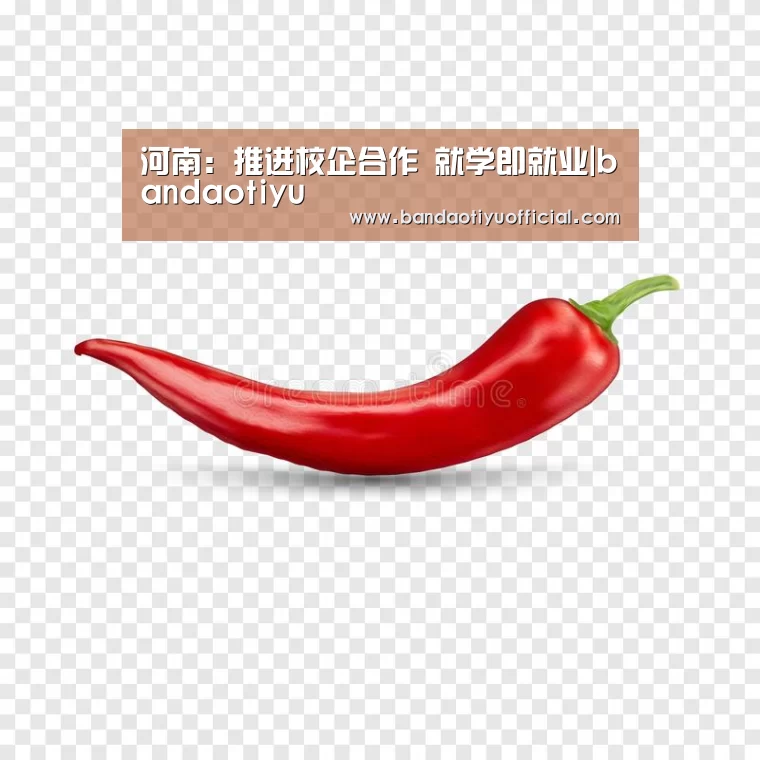 河南:推进校企合作 就学即就业|bandaotiyu(图1) 半岛体育官方登录官网