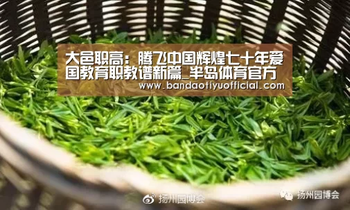 大邑职高:腾飞中国辉煌七十年爱国教育职教谱新篇_半岛体育官方登录(图4) 大邑职高:腾飞中国辉煌七十年爱国教育职教谱新篇_半岛体育官方登录(图4)