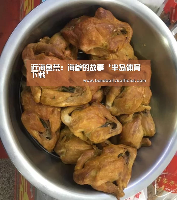 近海鱼荒：海参的故事‘半岛体育下载’(图2)