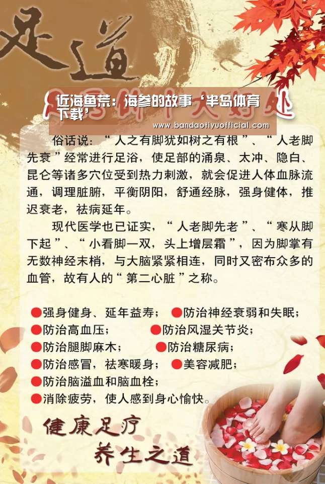 半岛体育官方登录